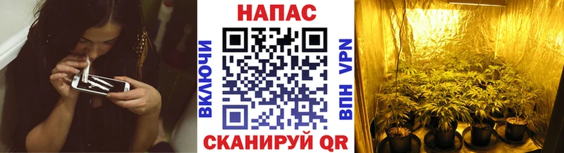 Шишки марихуана White Widow  Катав-Ивановск 